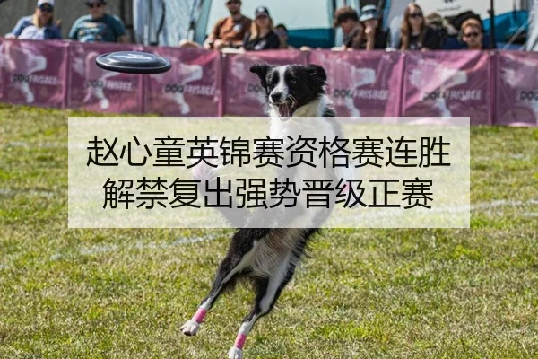 赵心童英锦赛资格赛连胜 解禁复出强势晋级正赛